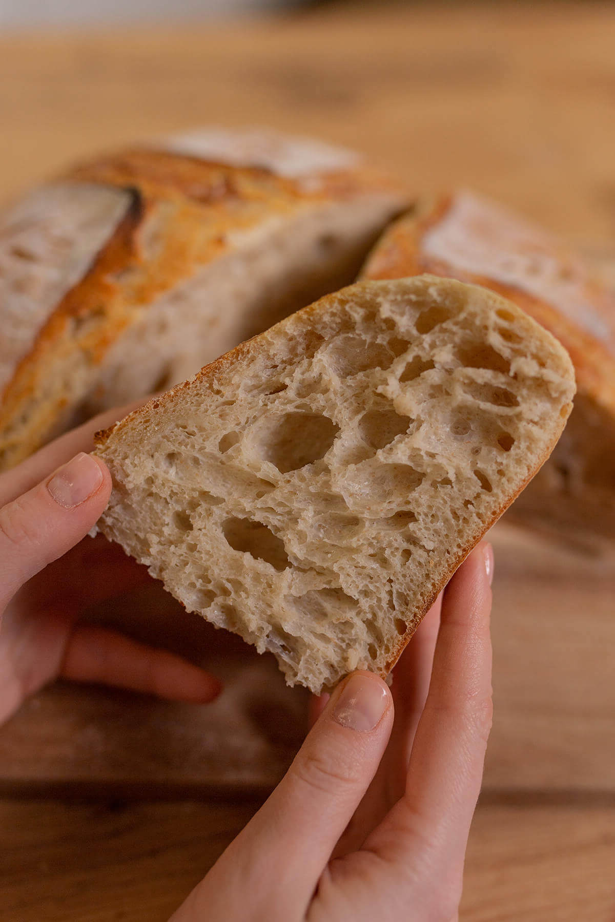 hausgemachtes brot in der hand
