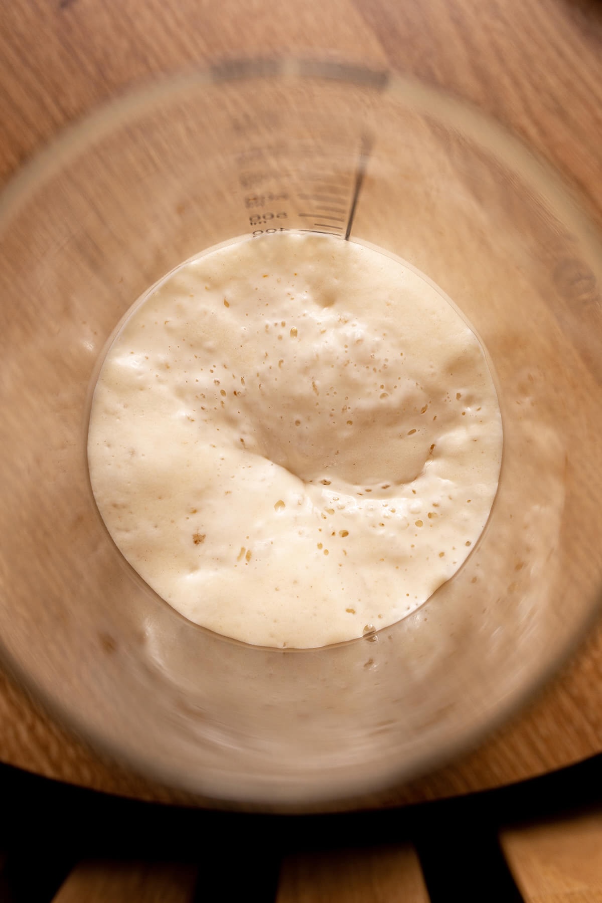 Sauerteig starter in schüssel